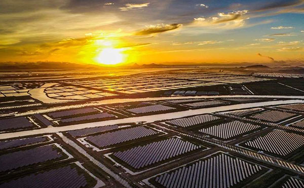 農林漁林農光互補光伏發電項目